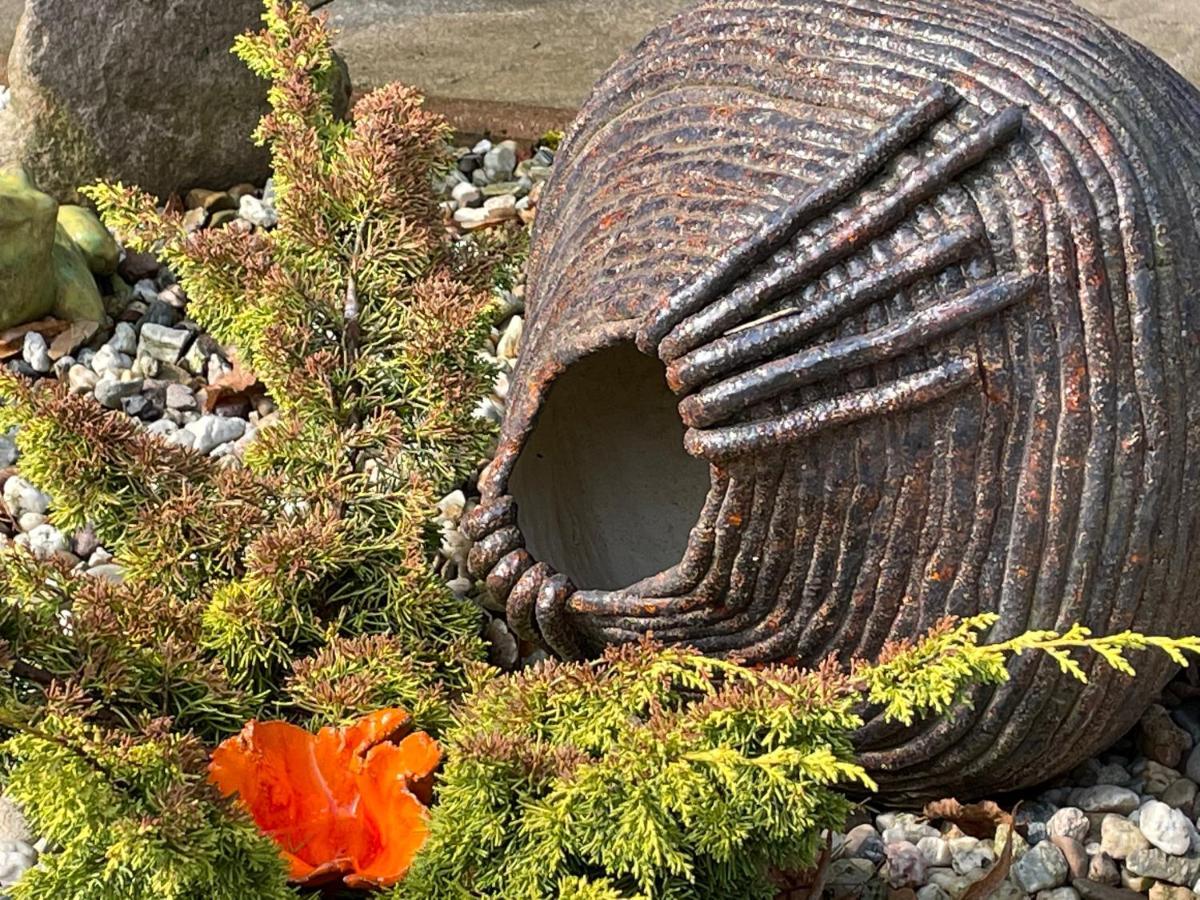 Agroturystyka Hanka I Jurek Boruja ภายนอก รูปภาพ