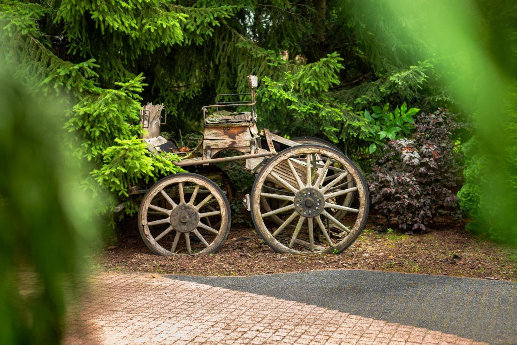 Agroturystyka Hanka I Jurek Boruja ภายนอก รูปภาพ